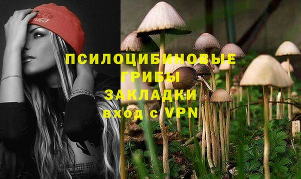 дживик Каменск-Шахтинский