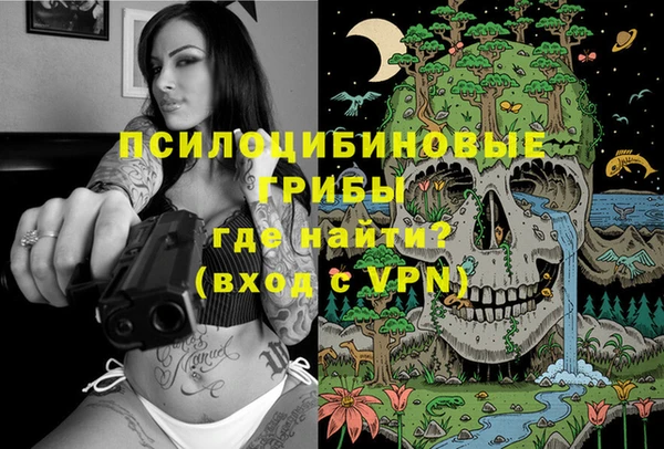 ECSTASY Каменка