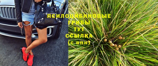 дживик Каменск-Шахтинский