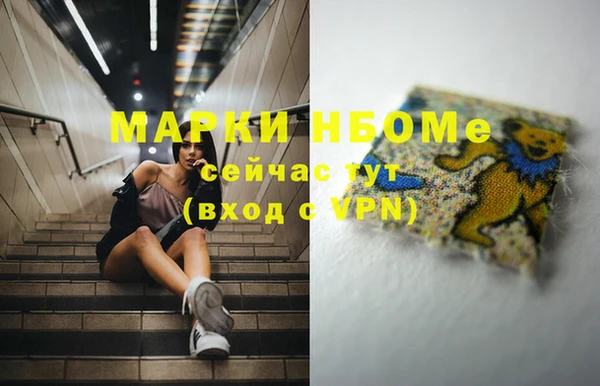 ECSTASY Каменка